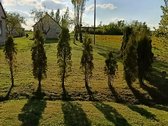 Namas ramioje vietoje, iš trijų pusių nėra - nuotraukos Nr. 6