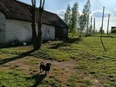 Namas ramioje vietoje, iš trijų pusių nėra - nuotraukos Nr. 15