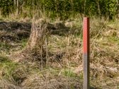 Sklypas, kuris išpildys daugelio svajones, nes: - nuotraukos Nr. 11