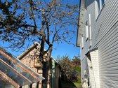 Jaukus 149 m² namas Palangoje – idealus - nuotraukos Nr. 9