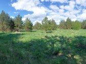 Parduodamas namų valdos sklypas ramioje - nuotraukos Nr. 2