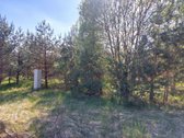 Parduodamas namų valdos sklypas ramioje - nuotraukos Nr. 3