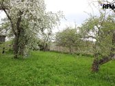 Šiauliuose, Medelyno mikrorajone, Ukmergės g. - nuotraukos Nr. 5