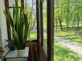 2 aukštas, balkonas, plastikiniai langai, - nuotraukos Nr. 5