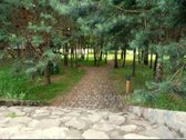 Trakų rajone,aukštadvario regioniniame parke - nuotraukos Nr. 19