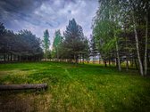 Molėtų raj. parduodama sodyba, išskirtinėje - nuotraukos Nr. 11