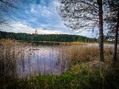 Molėtų raj. parduodama sodyba, išskirtinėje - nuotraukos Nr. 19