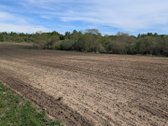 Parduodamas 9,0655 ha. Žūp sklypas Molėtų r. - nuotraukos Nr. 2