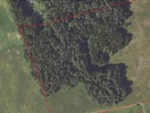 Parduodamas žemės sklypas-miškas su - nuotraukos Nr. 3