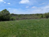 Parduodamas 19,6299 ha. Žūp sklypas Molėtų r. - nuotraukos Nr. 5