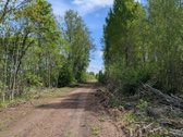 Parduodamas 19,6299 ha. Žūp sklypas Molėtų r. - nuotraukos Nr. 6