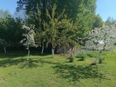Parduodama sodyba su 25,9855ha zemes. - nuotraukos Nr. 6