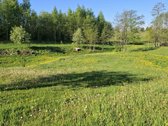 Yra Galimybė Dasipirkti 12 ha Ūkinės - nuotraukos Nr. 16