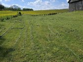 Yra Galimybė Dasipirkti 12 ha Ūkinės - nuotraukos Nr. 3