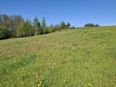 Yra Galimybė Dasipirkti 12 ha Ūkinės - nuotraukos Nr. 18