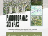 Parduodamas 16 Arų Sklypas Ringauduose – - nuotraukos Nr. 2