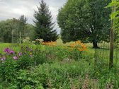 Parduodamas 1,6 Ha Sklypas Su Statybos Galimybe - nuotraukos Nr. 5