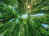 Parduodamas 8,28 Ha Žemės Ūkio Paskirties