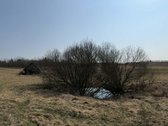 Parduodama autentiška sodyba išskirtinėje - nuotraukos Nr. 8