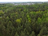 Parduodamas 11,37 a namų valdos sklypas - nuotraukos Nr. 2