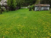 Parduodamas 11,37 a namų valdos sklypas - nuotraukos Nr. 18