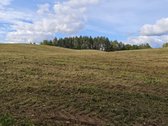 Parduodamas žemės sklypas 5,1h. Pastatų nėra. - nuotraukos Nr. 4