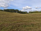 Parduodamas žemės sklypas 5,1h. Pastatų nėra. - nuotraukos Nr. 5
