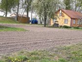 Parduodama jauki sodyba ramioje vietoje, vos - nuotraukos Nr. 5