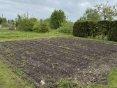 Parduodama jauki ir prižiūrėta sodyba - nuotraukos Nr. 22