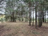 Parduodamas strategiškai geroje vietoje - nuotraukos Nr. 10