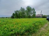 Parduodama sodyba ežerų krašte, beržų - nuotraukos Nr. 4
