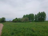 Parduodama sodyba ežerų krašte, beržų - nuotraukos Nr. 5