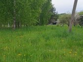Parduodama sodyba ežerų krašte, beržų - nuotraukos Nr. 6