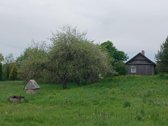 Parduodama sodyba ežerų krašte, beržų - nuotraukos Nr. 7