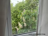 Pačioje Šiaulių miesto širdyje parduodamas - nuotraukos Nr. 11