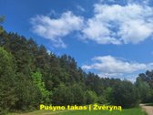 Parduodamas 2 k. butas - tik 950metrų iki - nuotraukos Nr. 6