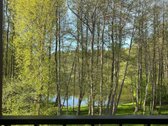Ramioje Ir Pušynų Apsuptoje Nemirsetoje - nuotraukos Nr. 25