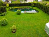 Parduoda Savininkas. Brokerių Paslaugos Nedomina! - nuotraukos Nr. 5