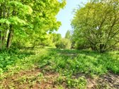 Erdvus sklypas Vilniaus mieste – retas ir - nuotraukos Nr. 10