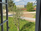 Parduodamas 5 kambarių gyvenamasis namas Jurbarke! - nuotraukos Nr. 29