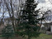 Nuomoju Vilniaus mieste, Naujamiestyje,