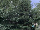 Nuomoju Vilniaus mieste, Naujamiestyje, - nuotraukos Nr. 4