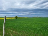 Parduodamas žemės ūkio paskirties 2.6ha - nuotraukos Nr. 3
