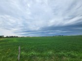 Parduodamas žemės ūkio paskirties 2.6ha - nuotraukos Nr. 5