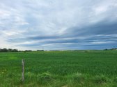 Parduodamas žemės ūkio paskirties 2.6ha - nuotraukos Nr. 6