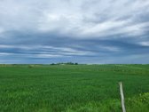 Parduodamas žemės ūkio paskirties 2.6ha - nuotraukos Nr. 7