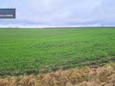 Parduodamas didelis žemės ūkio paskirties - nuotraukos Nr. 2