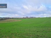 Parduodamas didelis žemės ūkio paskirties - nuotraukos Nr. 3