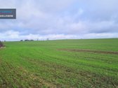 Parduodamas didelis žemės ūkio paskirties - nuotraukos Nr. 5