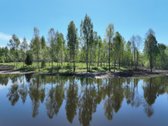 Privalumai: - nuotraukos Nr. 7